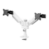 Screen Table Support Neomounts DS65S-950WH2 34