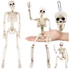Skeleton - decoration 40cm Ruhhy 26027