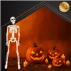 Skeleton - decoration 40cm Ruhhy 26027