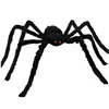 Spider - decoration - 50cm Ruhhy 26029