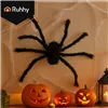 Spider - decoration - 50cm Ruhhy 26029