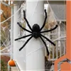 Spider - decoration - 50cm Ruhhy 26029