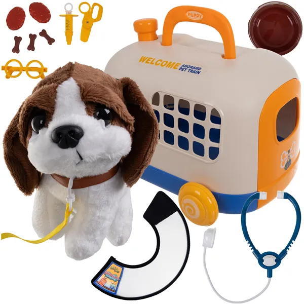 Little vet set with carrier