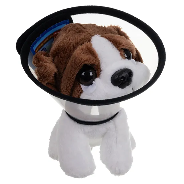Little vet set with carrier
