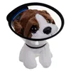 Little vet set with carrier
