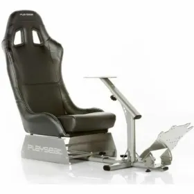 Iste Mängimine Playseat Evolution