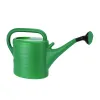 Kastekann Plastmass Roheline (10 L)