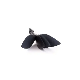 Botagas Kiotos
