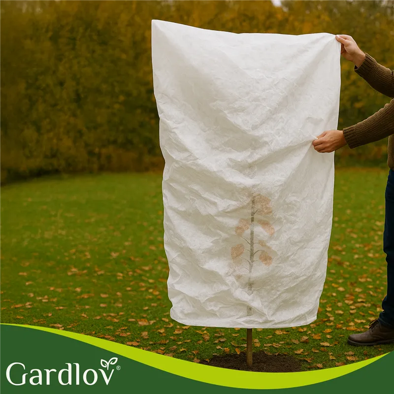 Plant hood 1.6x1m Gardlov 26549