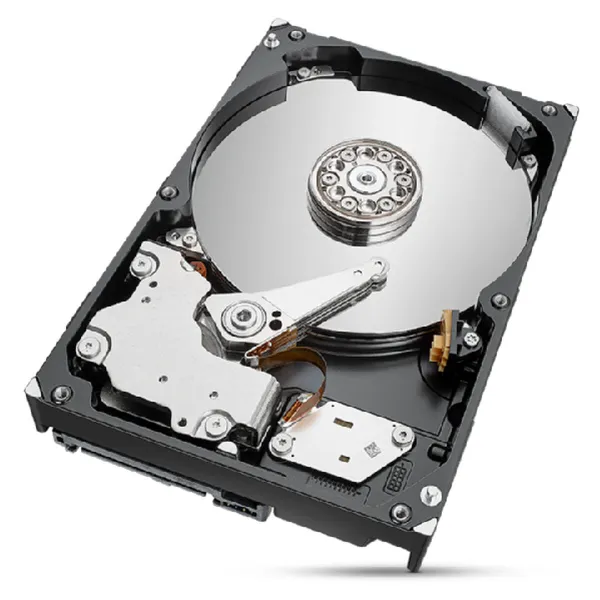 Kietasis diskas Seagate ST2000NT001 3,5" 2 TB 2 TB SSD 2 TB HDD
