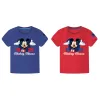 кукла Mickey Mouse Only one