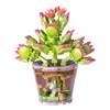 Construction blocks - flowers 172 pcs 26459