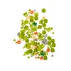 Construction blocks - flowers 172 pcs 26459