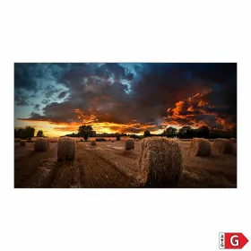 Monitorius Videowall Samsung VM55B-U 55" Full HD