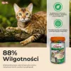 Snack for Cats Inaba Chicken
