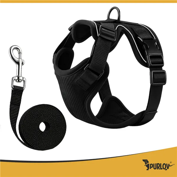 Pressure-free harness for animals S Purlov 26868