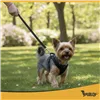 Pressure-free harness for animals S Purlov 26868