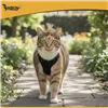Pressure-free harness for animals S Purlov 26868