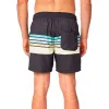 Плавки мужские Rip Curl Framed Volley Чёрный
