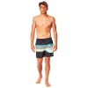 Плавки мужские Rip Curl Framed Volley Чёрный