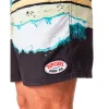 Плавки мужские Rip Curl Framed Volley Чёрный