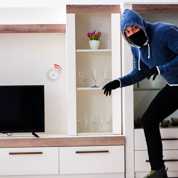 Alpina - Smart PIR motion sensor Zigbee network | Osta verkosta — Megaluks