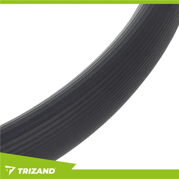 Triznad 26848 mankštos žiedas