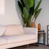 Fleece blanket 170x130 (Cream) | Pirkti internetu — Megaluks