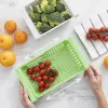 Reguliuojamas šaldytuvo organizatorius Friwer InnovaGoods 2 vnt.