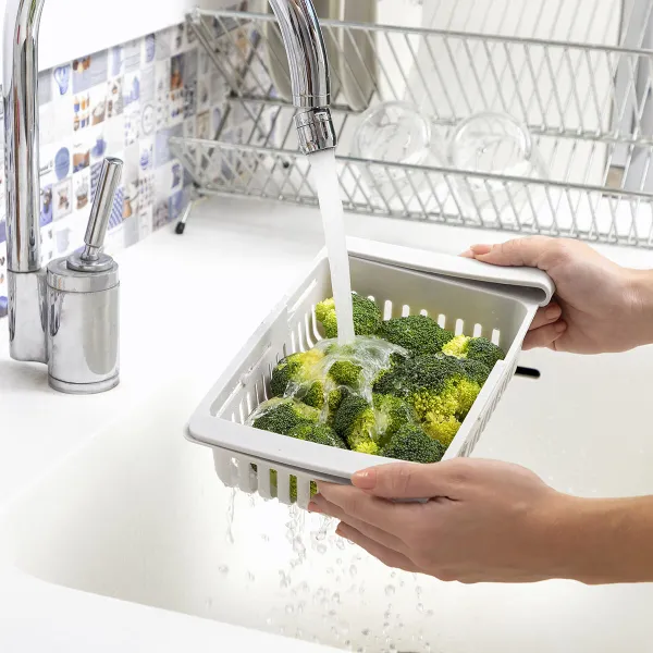 Reguliuojamas šaldytuvo organizatorius Friwer InnovaGoods 2 vnt.