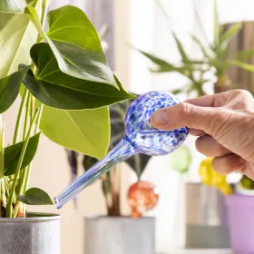 Automatiniai laistymo gaubliai Ballwooters InnovaGoods 4 vnt.