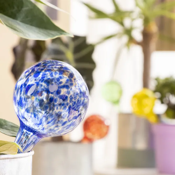 Automatiniai laistymo gaubliai Ballwooters InnovaGoods 4 vnt.