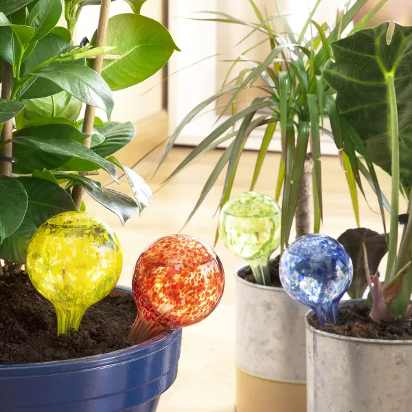 Automatiniai laistymo gaubliai Ballwooters InnovaGoods 4 vnt.
