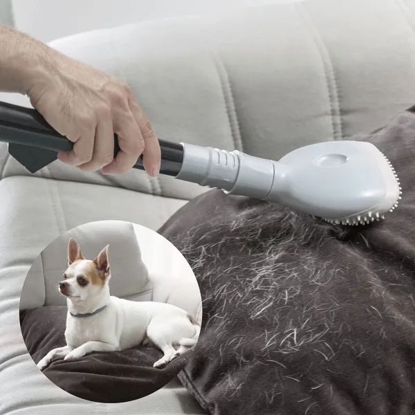 Siurblio šepetėlis Smoovah InnovaGoods (Naudoti A)