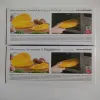 Судок для Приготовления Тортильи в Микроволновой Печи InnovaGoods