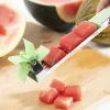 Arbūzų kubelių pjaustytuvas Cutmil InnovaGoods