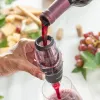 Vyno aeratorius su filtru, stovu ir nešiojimo dėklu Wineir InnovaGoods