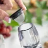 Vyno aeratorius su filtru, stovu ir nešiojimo dėklu Wineir InnovaGoods