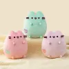 Pusheen - Plush stuffed animal 18 cm (pastel mi | Pirkti internetu — Megaluks