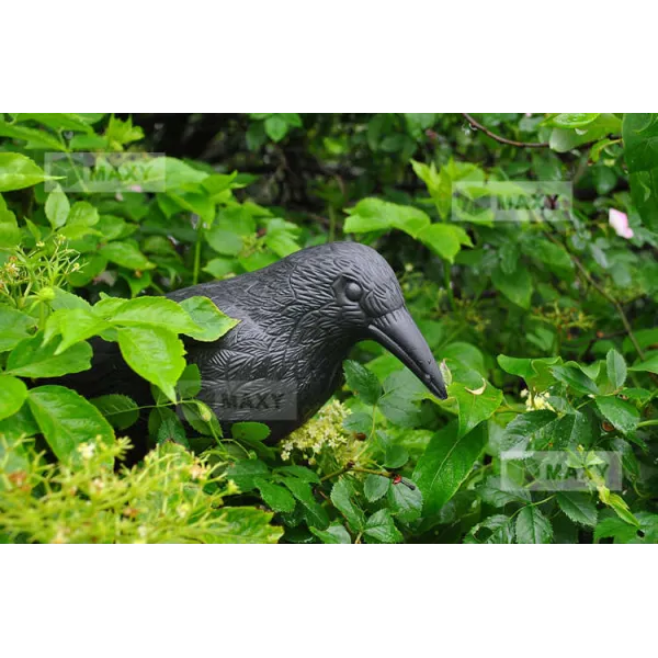 Bird scarer - raven