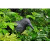 Bird scarer - raven