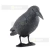 Bird scarer - raven