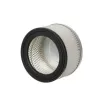 HEPA filtrs pelnu putekļsūcējam 10927 | Pirkt tiešsaistē — Megaluks