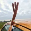 Elnio ragai automobiliui Xtrobb 20223 | Pirkti internetu — Megaluks