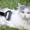 Purlov 20427 trimmer/comb