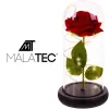 Rožė stikle – šviečiantis Malatec 21619 | Pirkti internetu — Megaluks