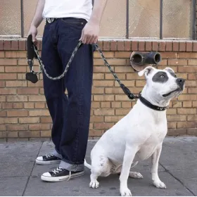 Reflective training leash 3m Purlov 21654 | Buy online — Megaluks