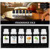 Lõhnaõlid - komplekt 6 tk. 10 ml Ruhhy 21939 | Osta veebist — Megaluks