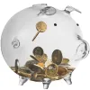 Piggy bank - stiklinė kiaulė Ruhhy 22588 | Pirkti internetu — Megaluks