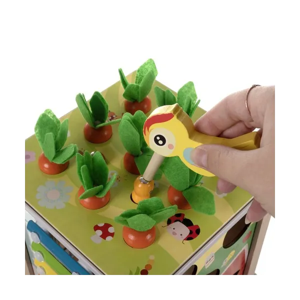Wooden educational cube - Kruzzel sorter 22566 | Buy online — Megaluks